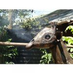 Giraffee-4